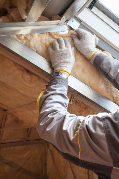 Best Insulation Maintenance and Repair in Buna, TX